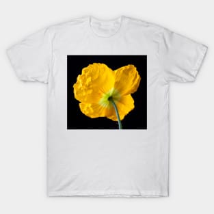 Lovely Yellow Iceland Poppy T-Shirt